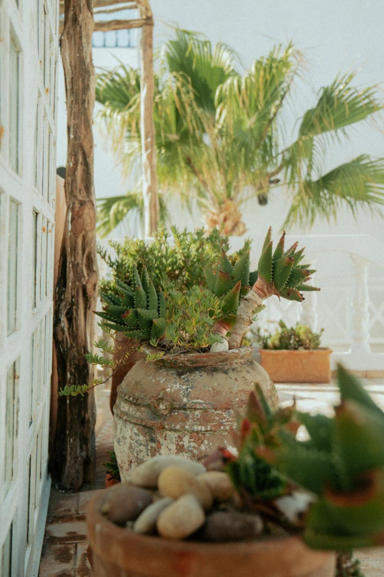 Riad Baladin Essaouira Esterno foto
